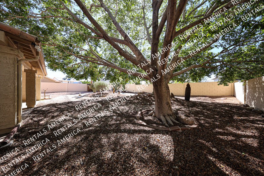 3-bedroom 2 bath in Mesa property image