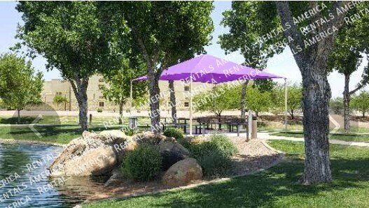 Beautiful Open & Bright 4 Bdrm & a Heated Pool in Power Ranch! property image