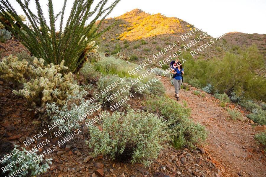 Spacious 5 Bedroom Home With Refreshing Pool & Large Backyard!!! property image