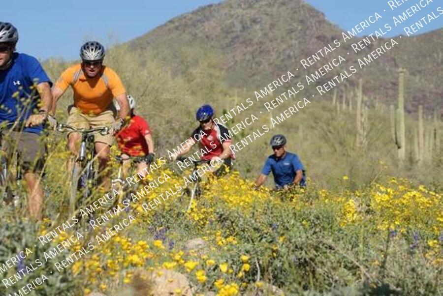 Spacious 5 Bedroom Home With Refreshing Pool & Large Backyard!!! property image