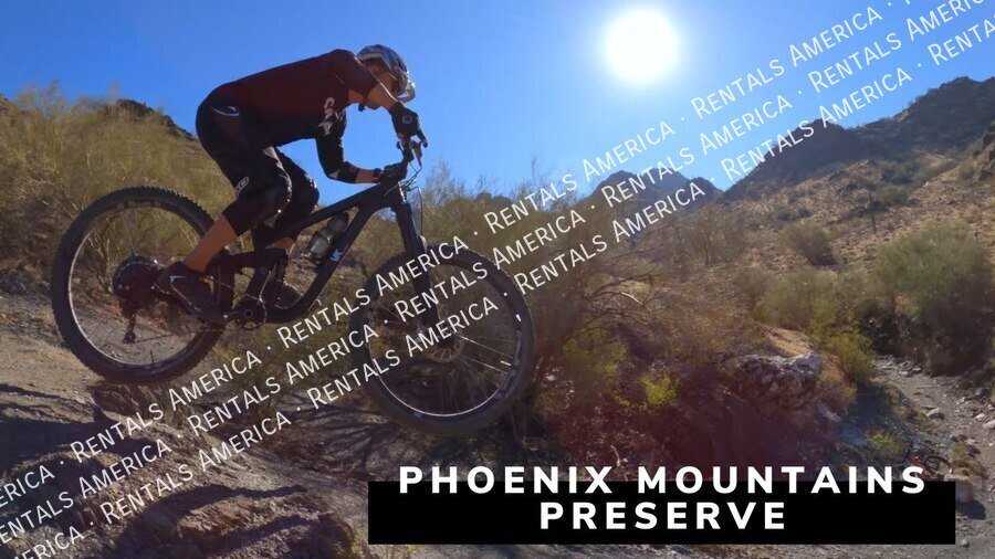 Spacious 5 Bedroom Home With Refreshing Pool & Large Backyard!!! property image