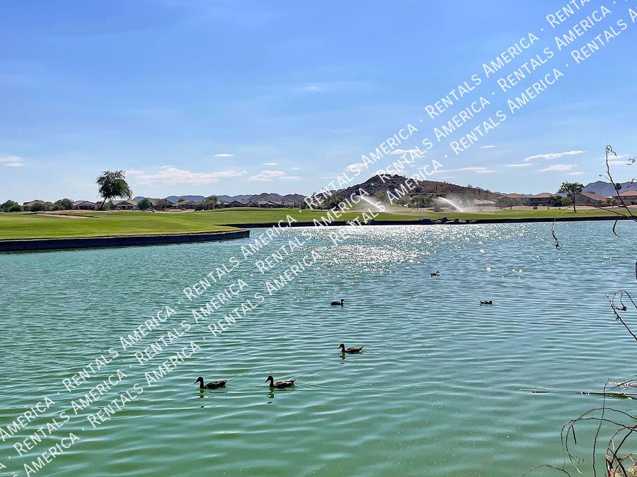 Beautiful 3 bedroom home in Johnson Ranch! property image