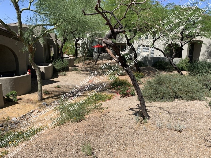 3-Bedroom Home in Gated Grayhawk Community! property image