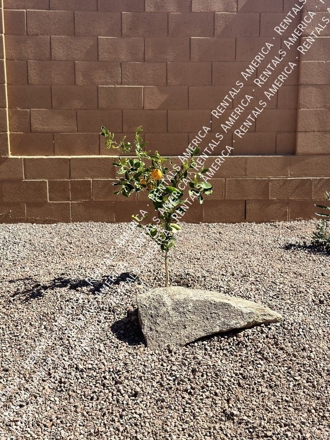 Sun City Festival Neighborhood property image