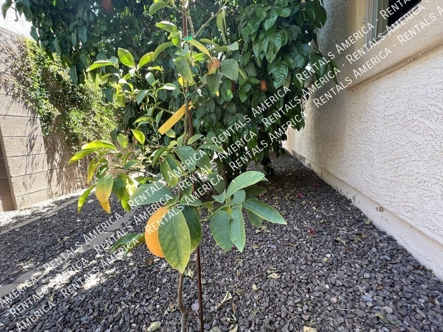 4 Bed 2 Bath Solar Panel Beautiful Single level Home property image