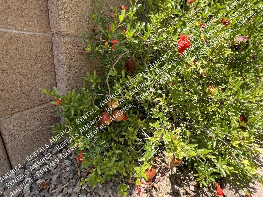 4 Bed 2 Bath Solar Panel Beautiful Single level Home property image