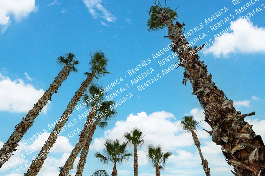 Spacious 4-bed, 2 1/2 bath home located in desirable San Tan Ranch property image