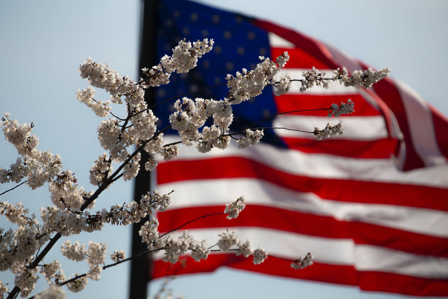 Making Memorial Day Memorable
